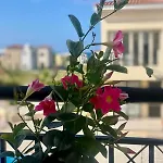 Faros Sea View Paphos