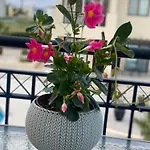 Faros Sea View