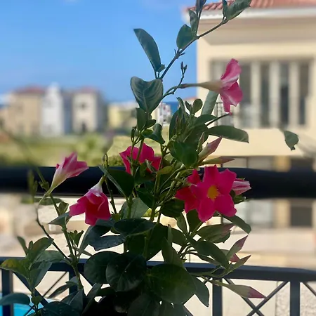 Faros Sea View Pafos